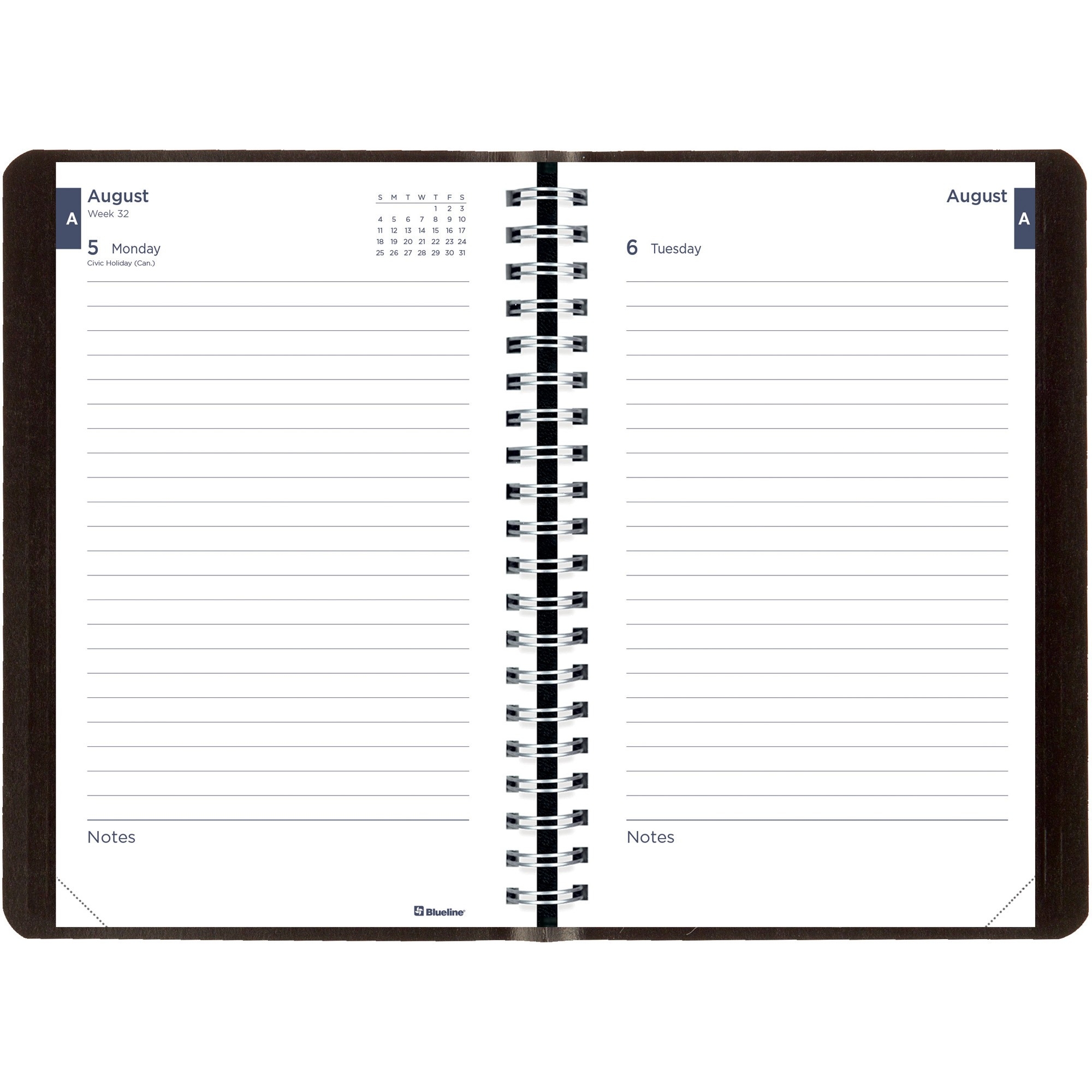 Brownline Academic Daily Appointment Book / Monthly Planner-August 2020 Monthly Appointment