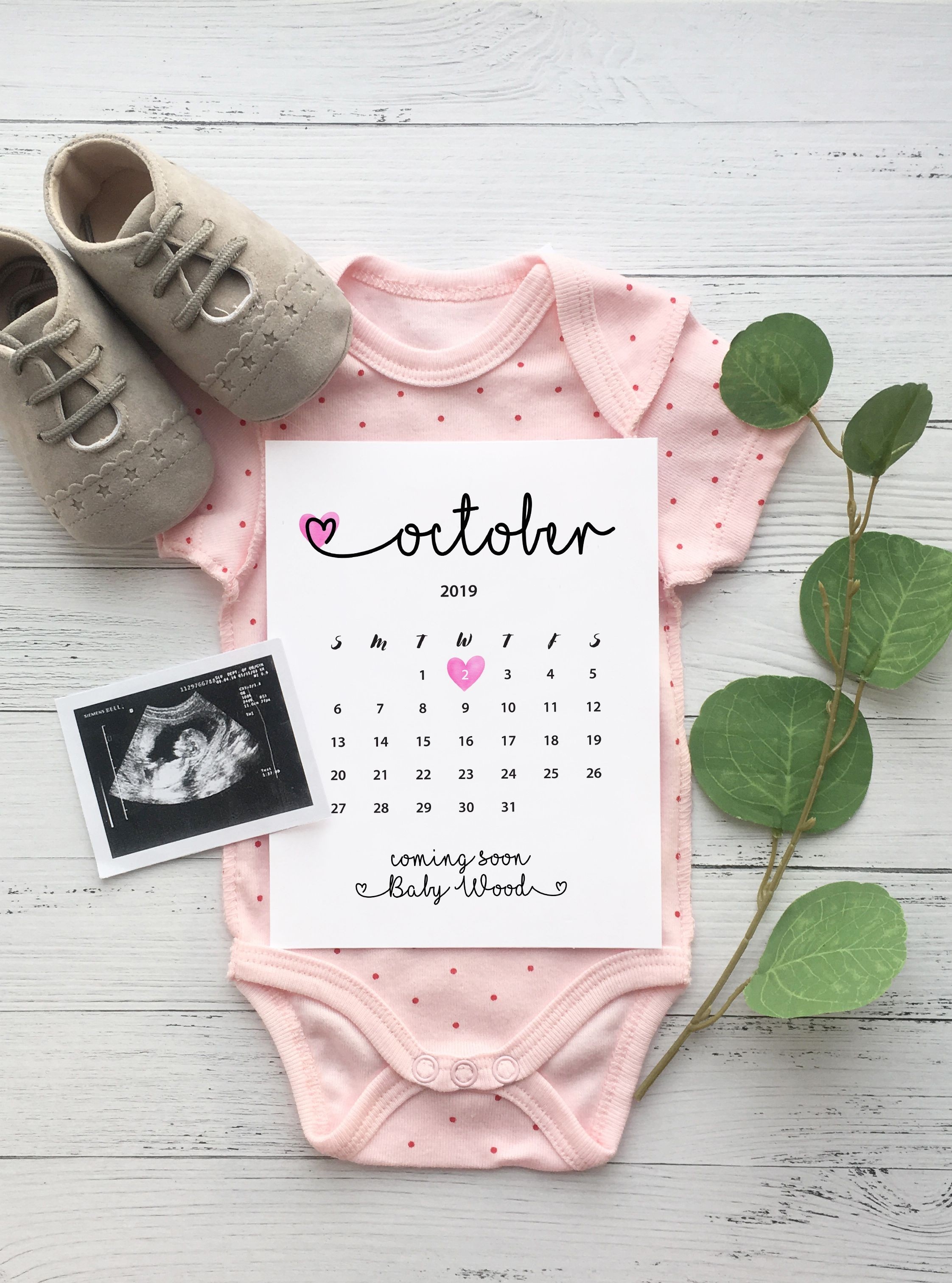 January 2020 Pregnancy Announcement, Baby Due Date Calendar-January 2020 Calendar Baby Announcement