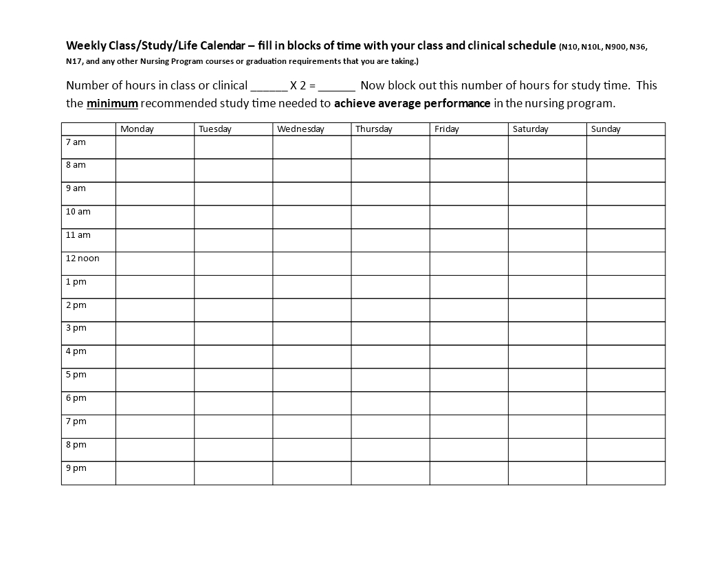 hourly daily schedule template