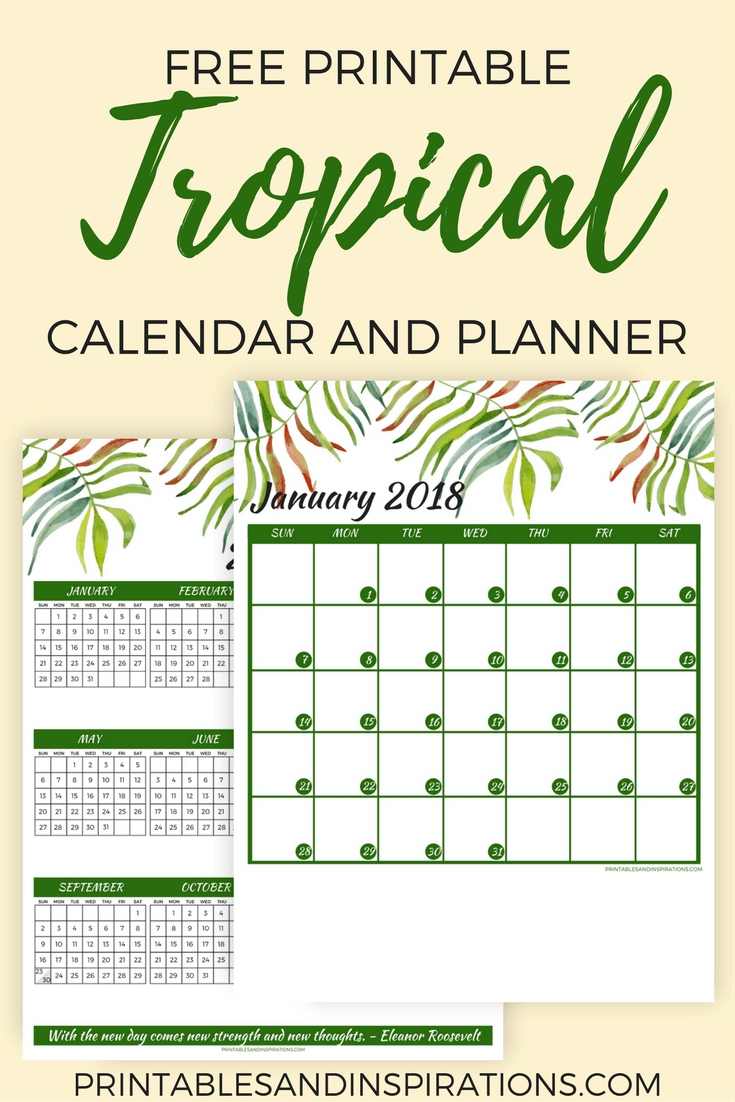 Free Tropical Green 2018 Calendar For A More Productive Year-Printable Monthly Calendar 5X8