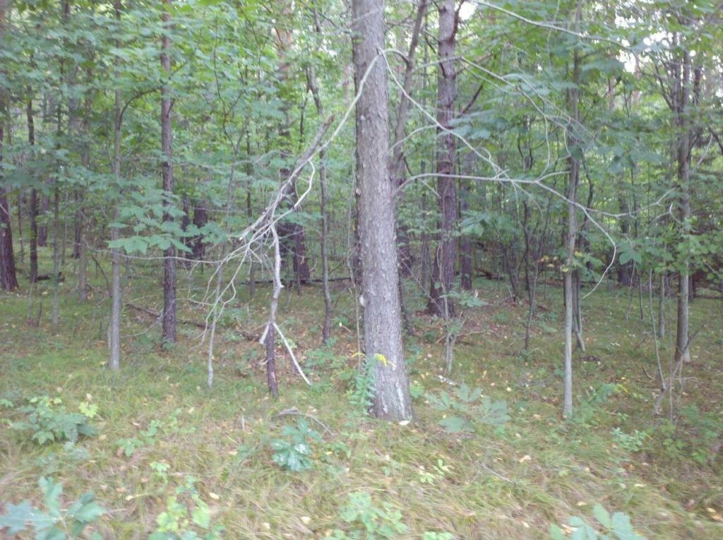 19 Acres- Piney Township, Clarion County, Pa (Shamburg) - Blue Sky Real Estate-2021 Indiana Deer Season