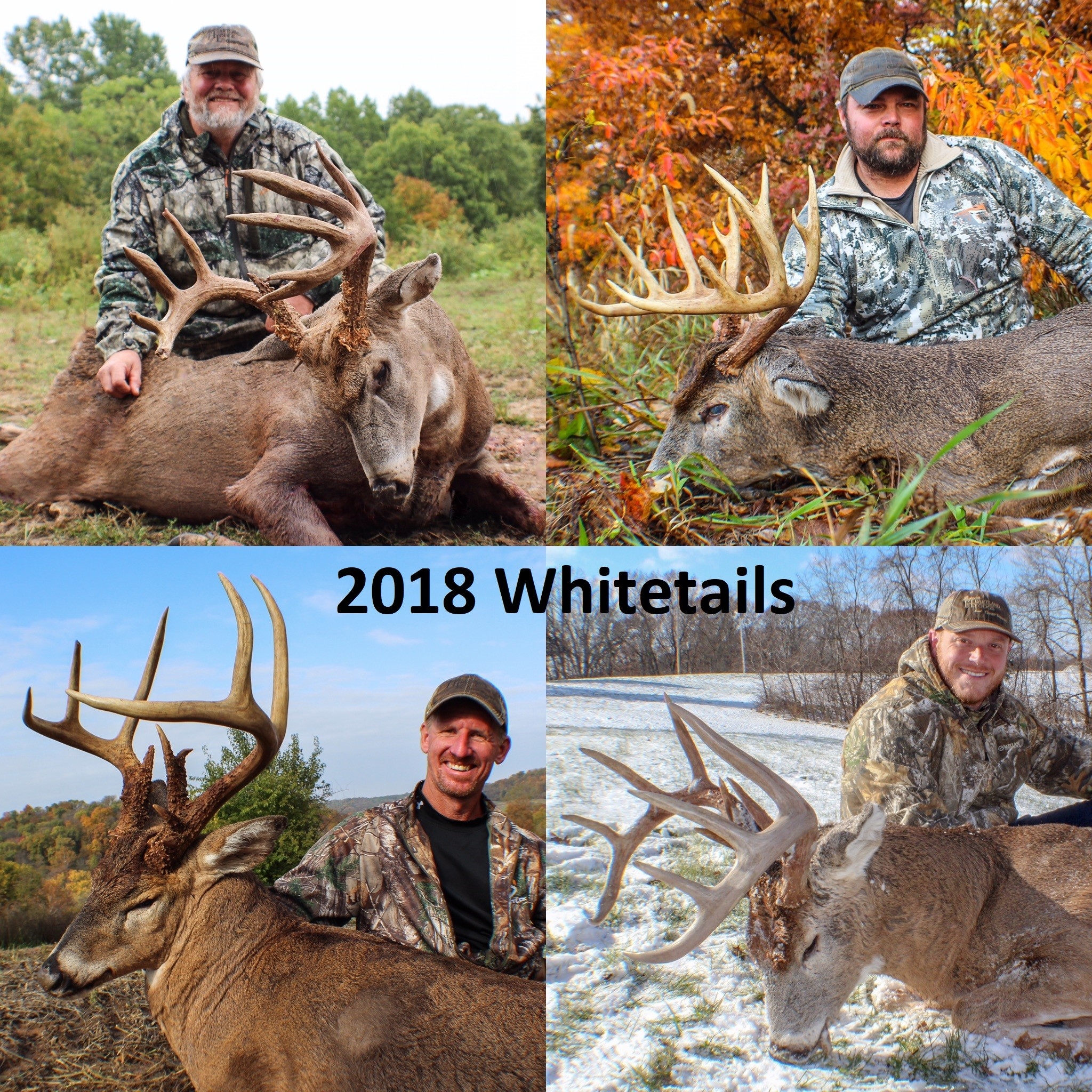 2021 Whitetail Deer Rut Predictions Calendar Template Printable