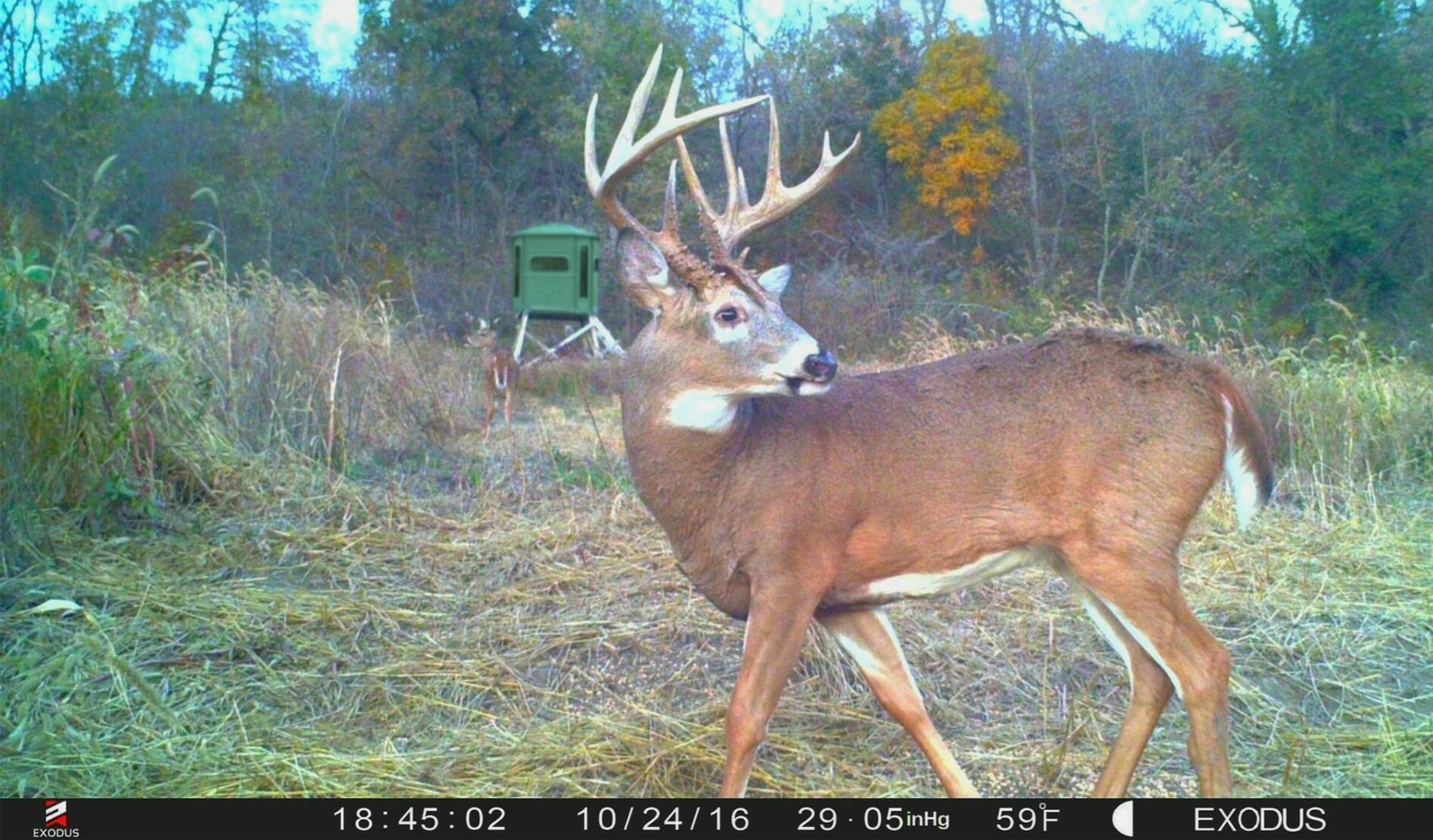 2020 Rut Predictions Illinois | Calendar Template Printable Monthly Yearly-When Is 2021 Whitetail Rut Predicted