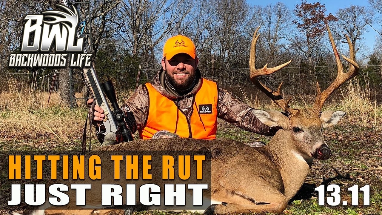Buck Daze Deer Hunting In Georgia Whitetail Rut Wide Open | Bwl 13.11 - Youtube-Huntining The Deer Rut In2021