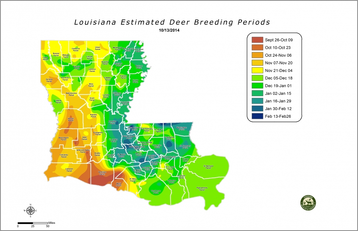 Deer Rut Calendar – Template Calendar Design-Md Deer Rut 2021