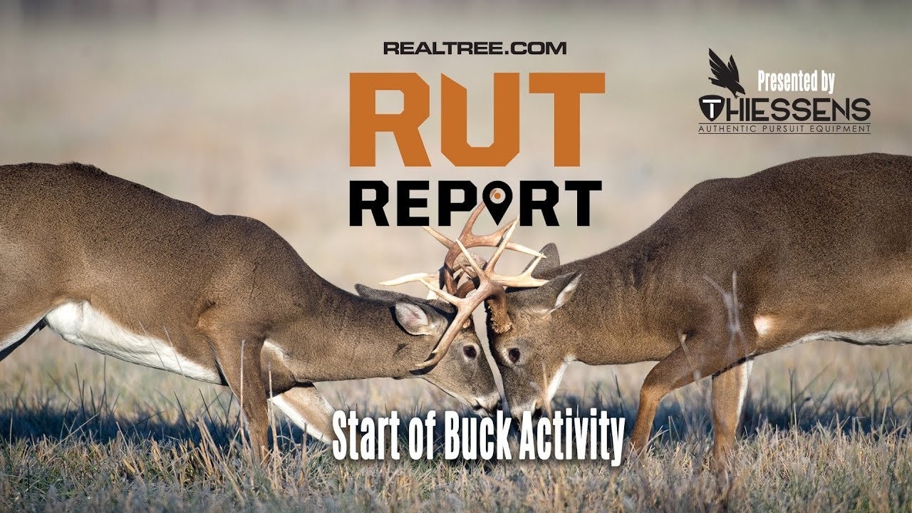 Deer Rut Predictions Illinois | Calendar Printable Free-2021 Deer Rut Predictions