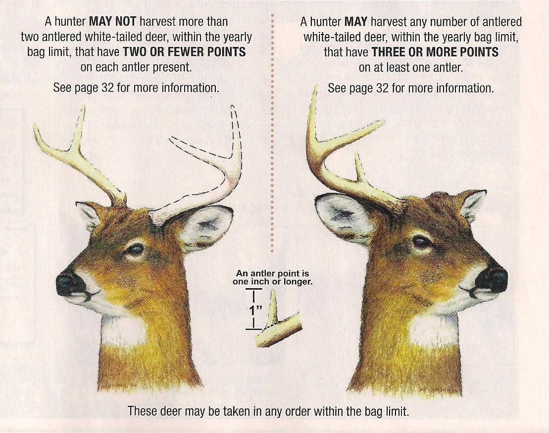 Deer Rut Whitetail 2020 – Template Calendar Design-Md Deer Rut 2021