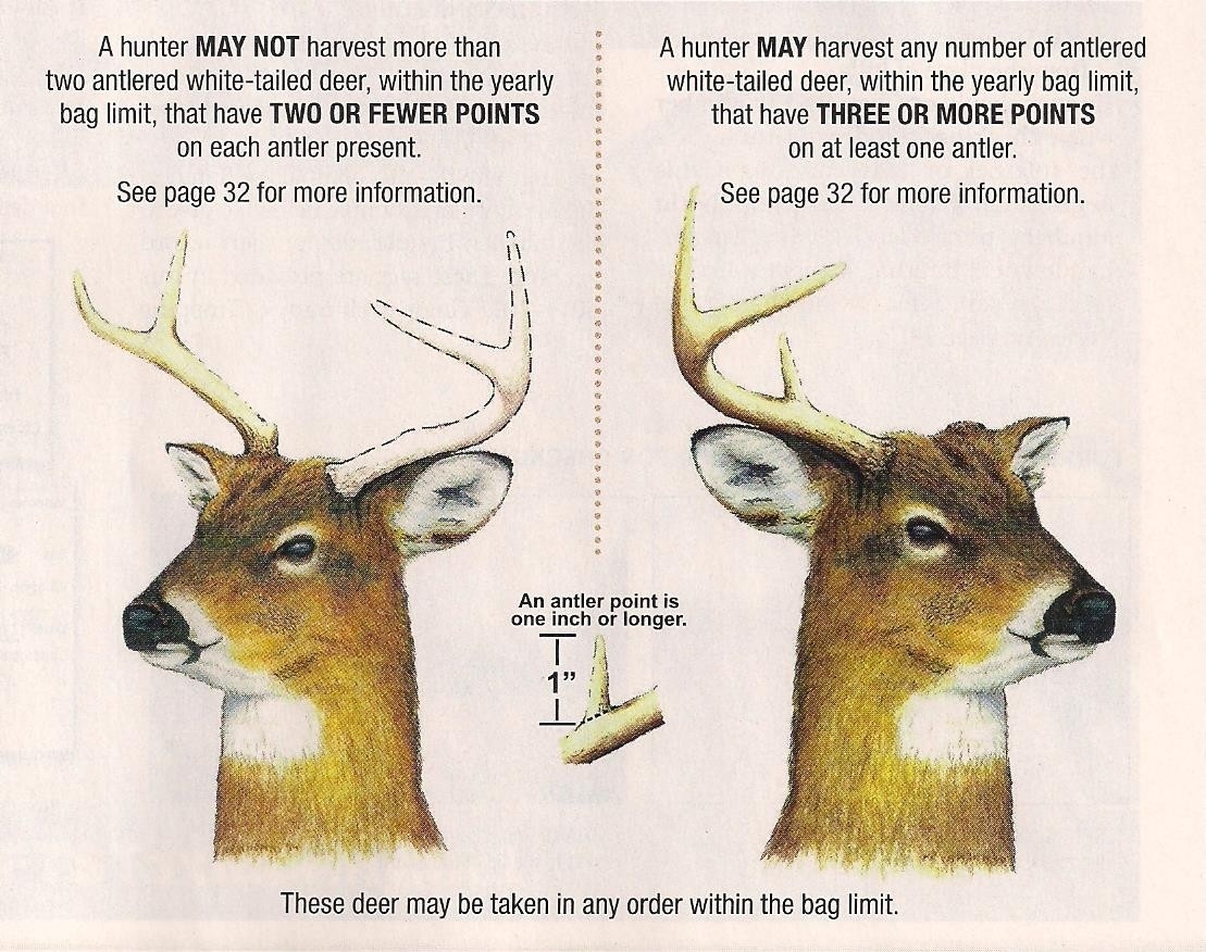 Va Deer Rut 2021 Calendar Template Printable