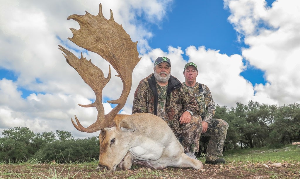 Fallow Deer Hunting | Wes Hdd-Whitetail Rut In Texas 2021