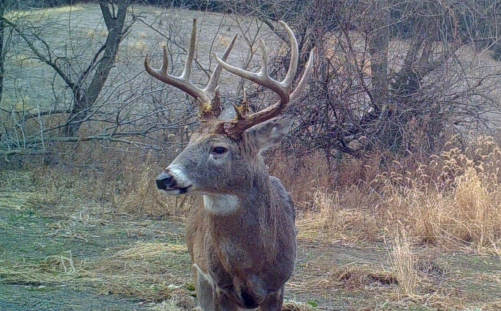 Georgia Deer Forecast – Template Calendar Design-Deer Rut Maryland 2021