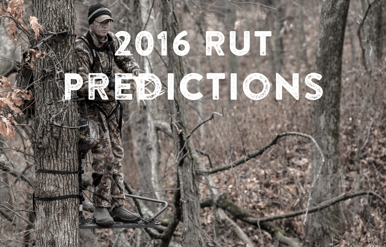 Georgia Rut Predictions 2020 – Template Calendar Design-The Deer Rut For Ga 2021