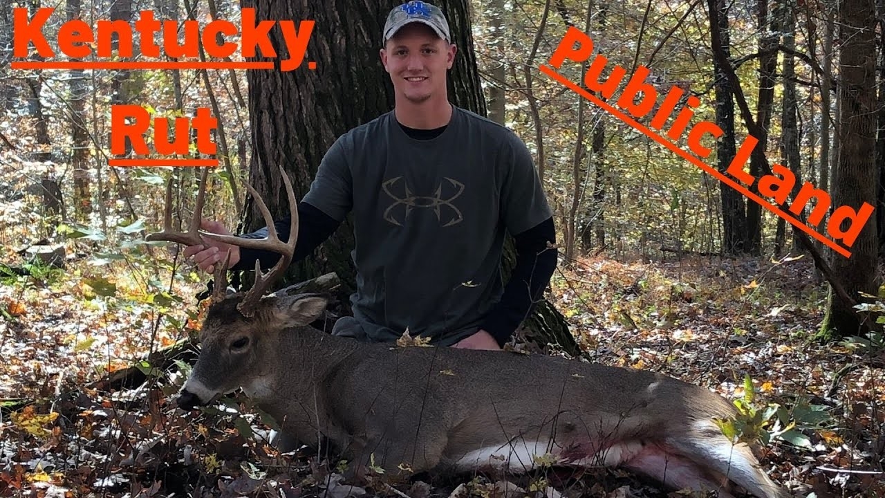 Kentucky Whitetail Deer Public Land Bow Hunt 11-08-19 - Youtube-Deer Rut For Ky 2021