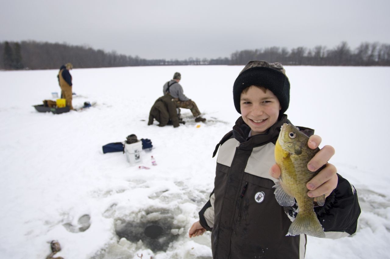 Michigan 2020 Hunting, Fishing Licenses Go On Sale Sunday - Mlive-2021 Deer Outlook For Michigan