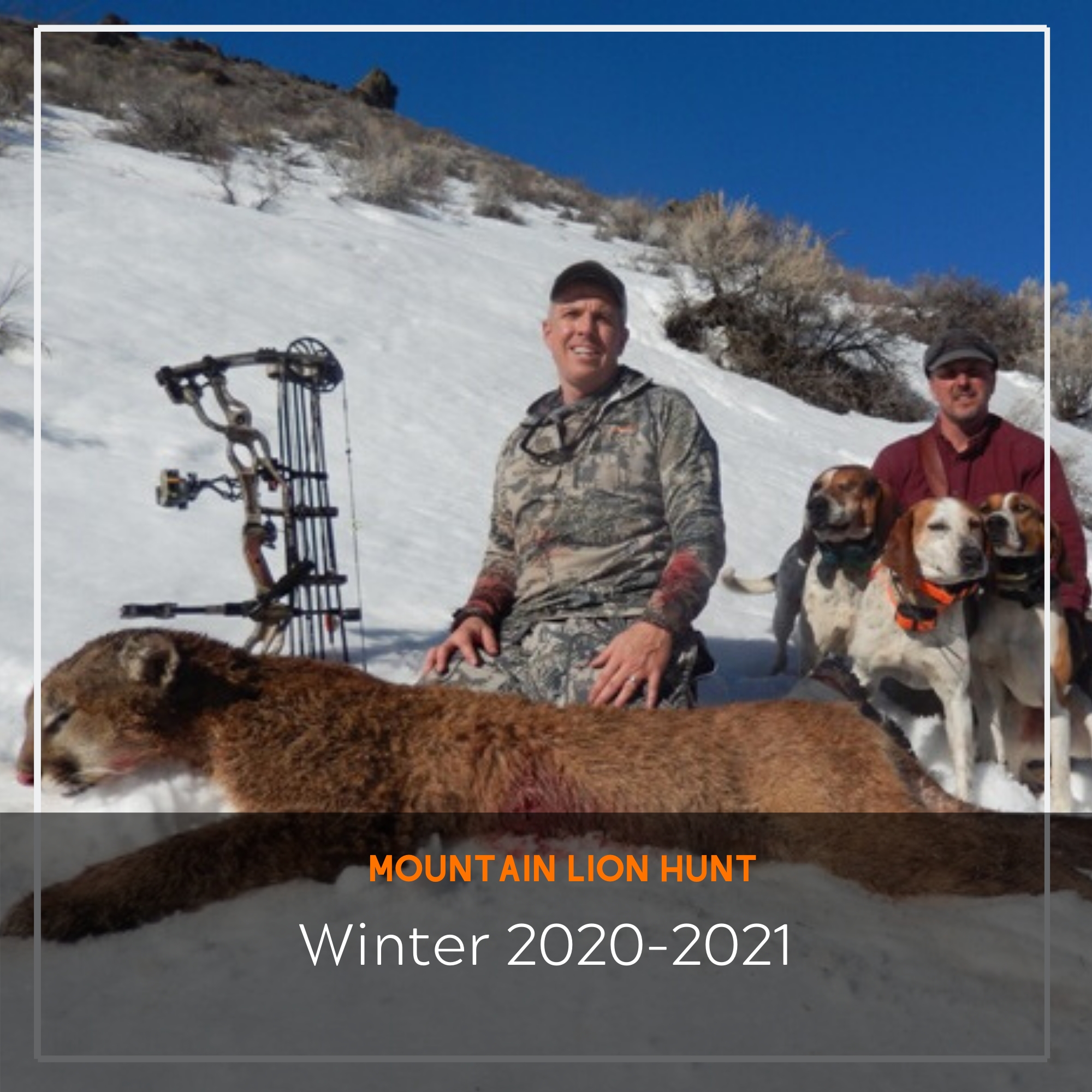 Mountain Loin Hunt- 2020-2021 | Arrived Outdoors-Dates For Indiana Deer Rut 2021