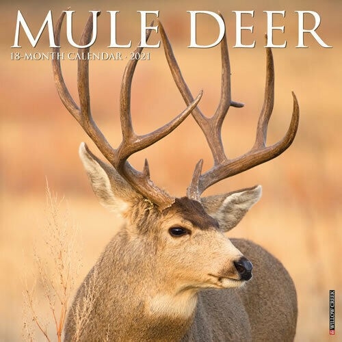 Mule Deer 2021 Wall Calendar (Free Shipping) | Ebay-2021 Whitetail Rut Calendar