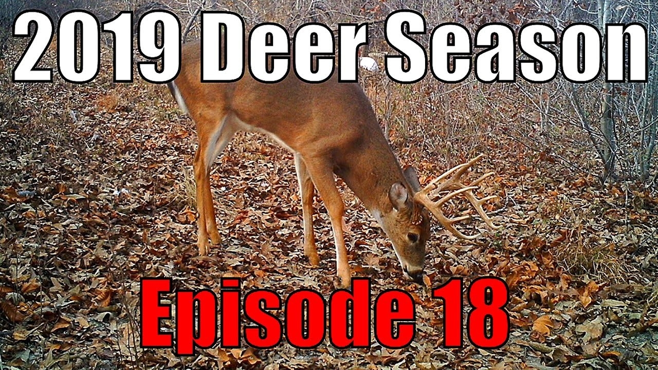 New Bucks! December Deer Hunting, Late Season Scouting. Bucks Moving To Winter Ranges. 2019 Ep-The Deer Rut For Ga 2021