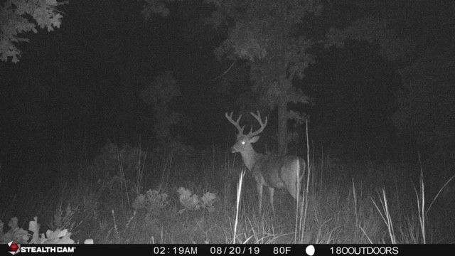 Osage 100 - Oklahoma Lease 2020 - Hunt 180-Dates For Indiana Deer Rut 2021