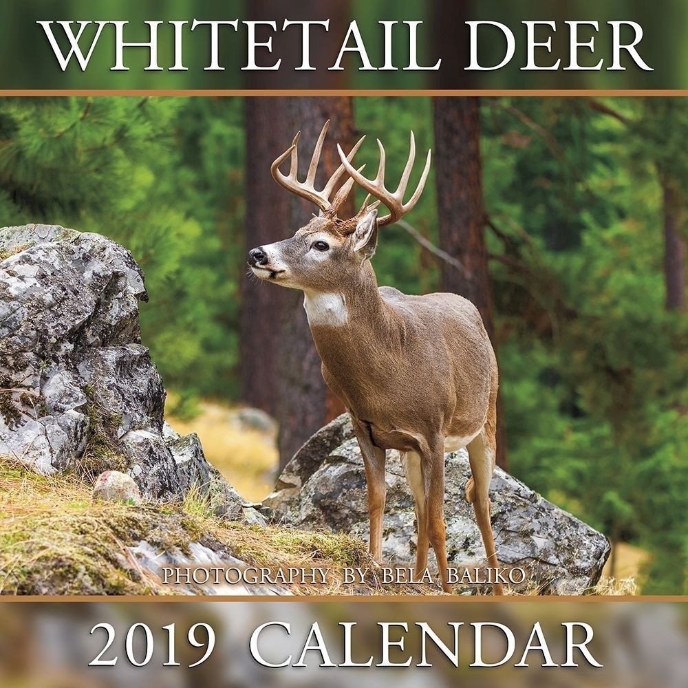 Shopdeerhunting 2020 Calendar Rut Forecast – Template Calendar Design-2021 Deer Rut Calendar