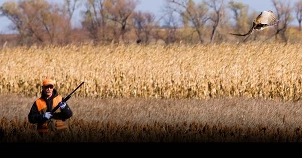 Uguide South Dakota Pheasant Hunting Guides, Outfitters &amp; Lodges-2021 Deer Outlook For Michigan