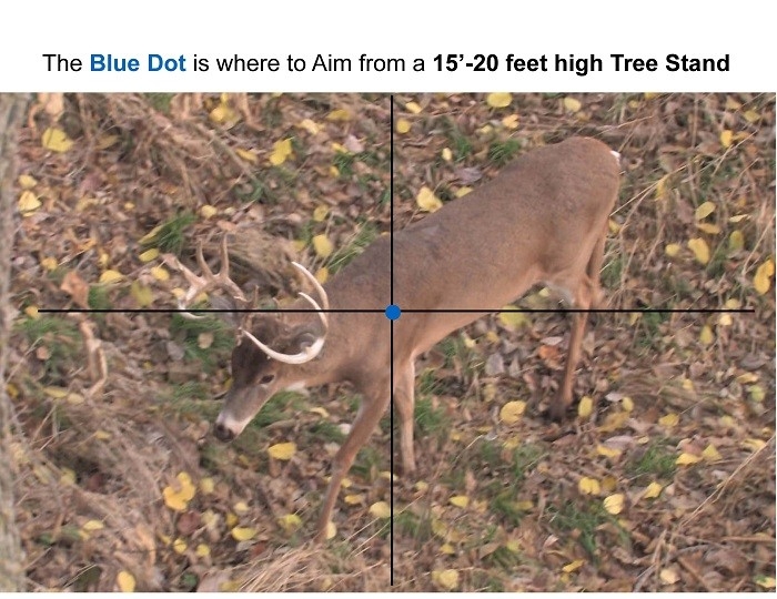 Where To Aim Broadside Shot_Page_08 - We&#039;Re All About Maryland Bucks-Whitetail Deer Rut In Md