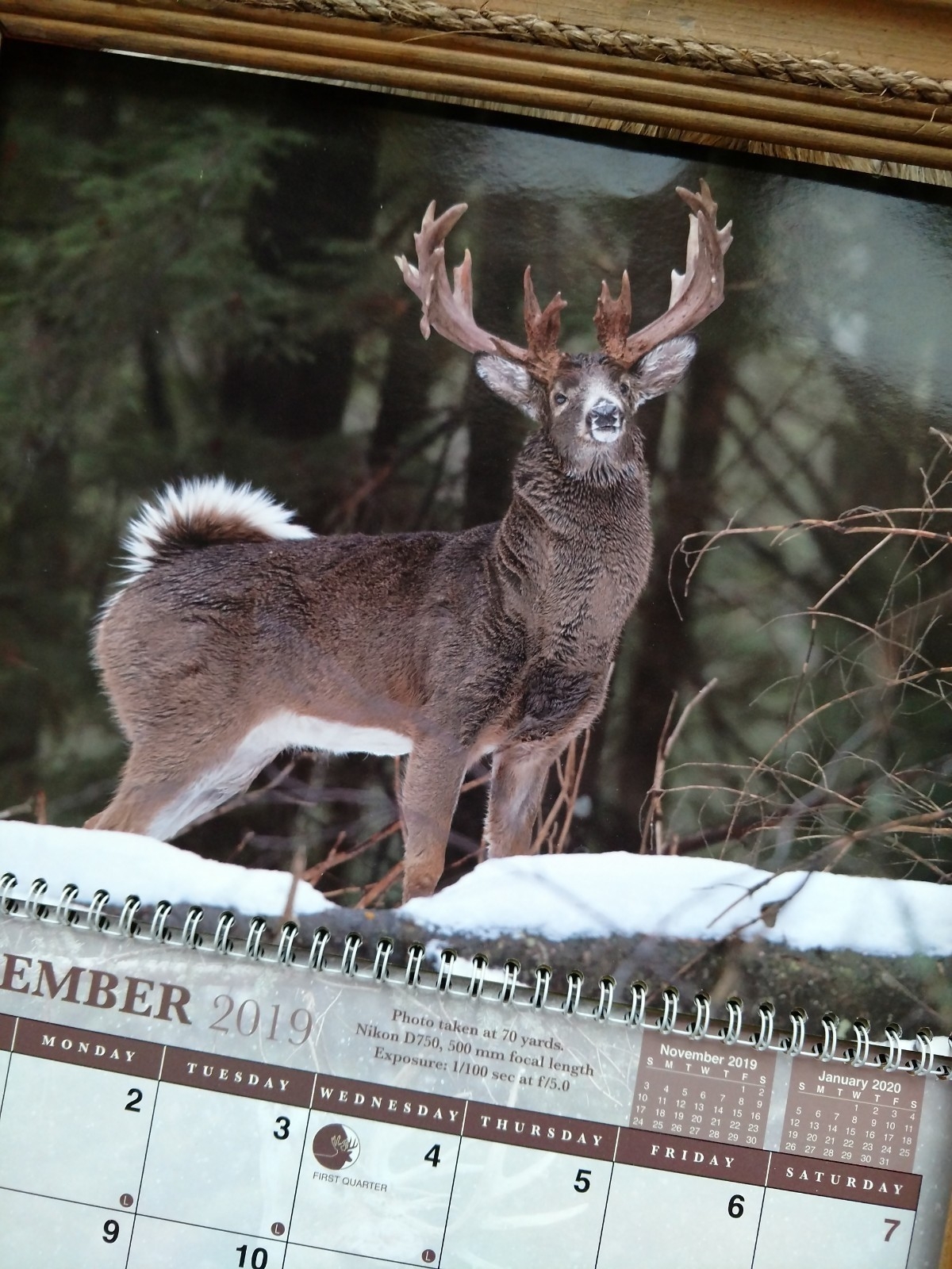 Whitetail Rut Calendar 2020 – Template Calendar Design-The Deer Rut For Ga 2021