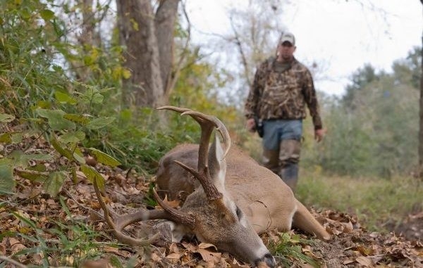 Louisiana Deer Rut Times | Calendar Template Printable