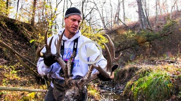 Winke 2020 Archives - Midwest Whitetail-Rut Season 2021 In Michi