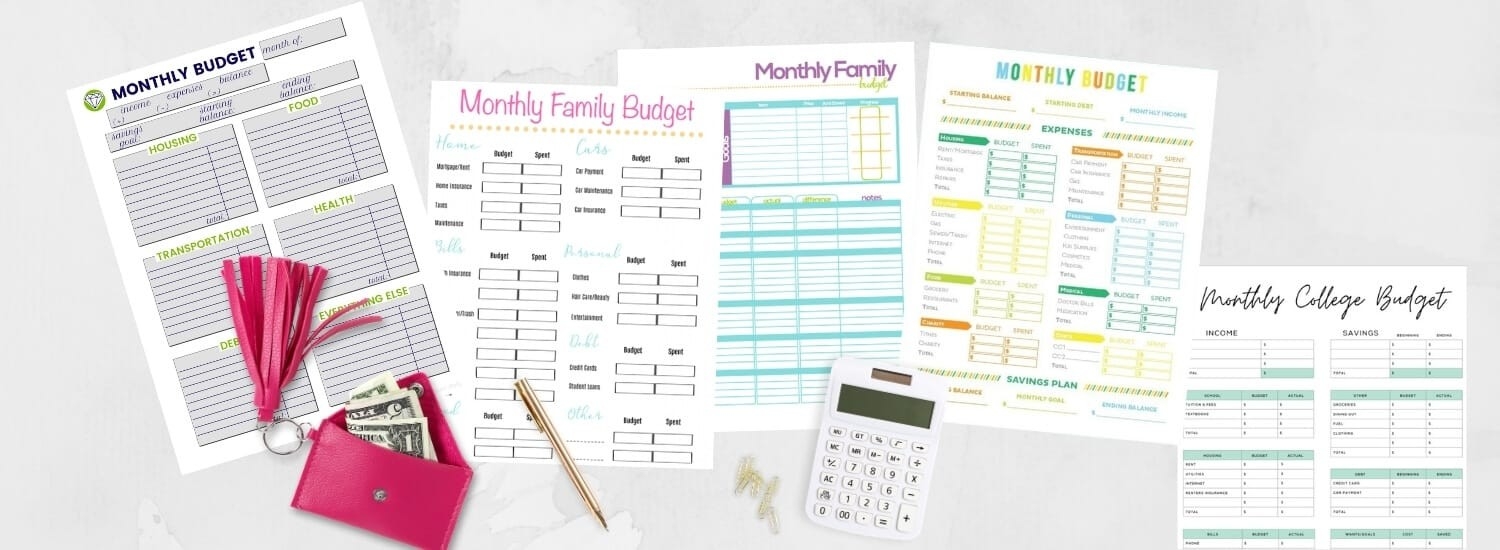20 Free Printable Budget Templates: Manage Your Money In-2021 Printable Bill Planner