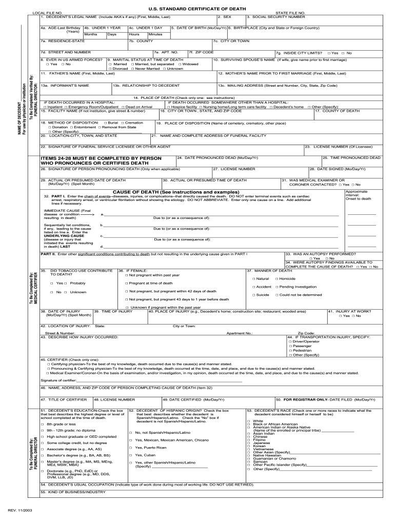2003-2021 Form Us Standard Certificate Of Death Fill Online-Blank W9 2021 Illinois