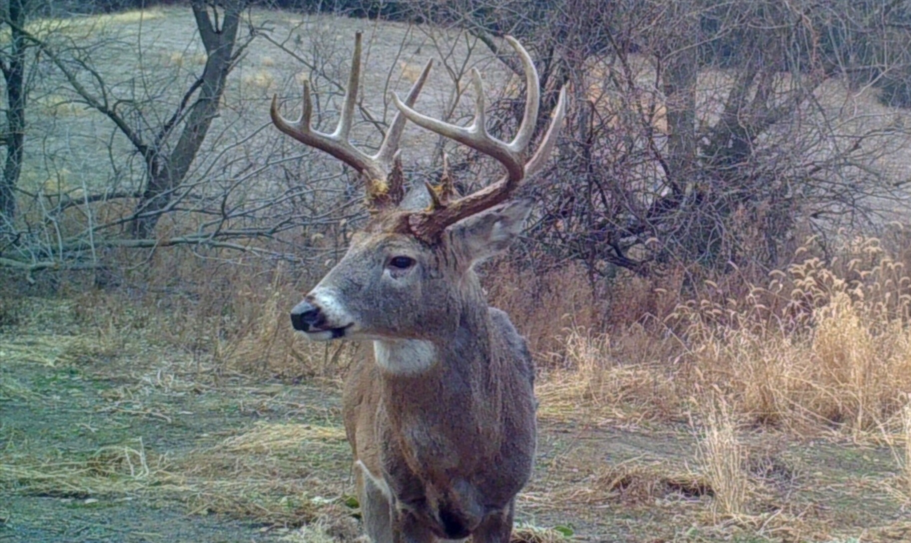 2018 Whitetail Rut Forecast And Hunting Guide | Whitetail-Peak Rut Predictions For 2021