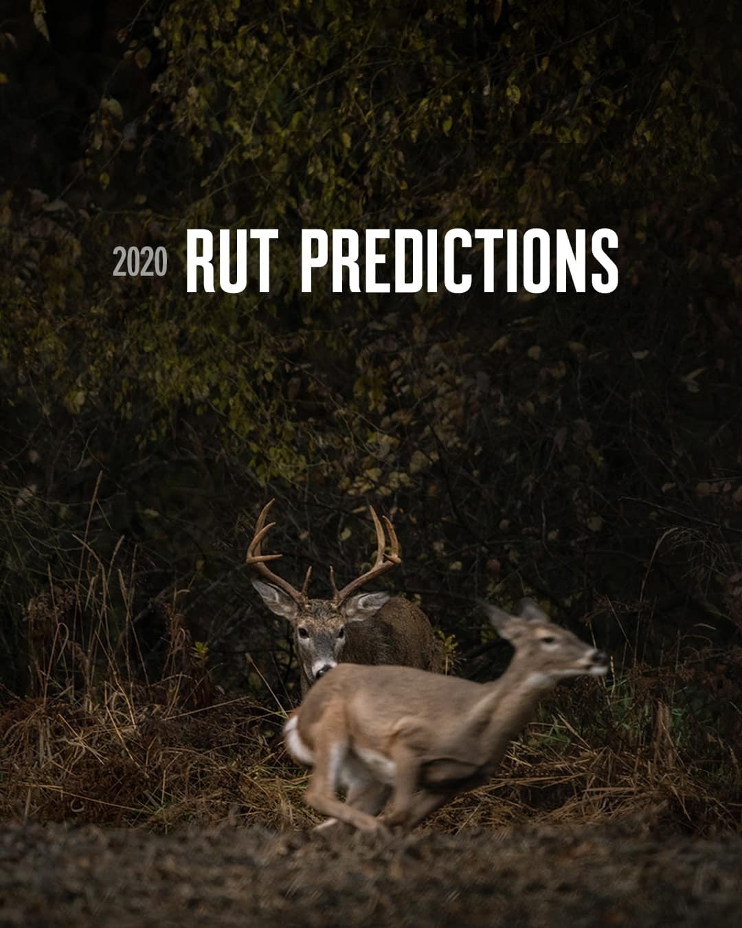 2020 Rut Predictions | Onx Maps-2021 Whitetail Rut Predictions