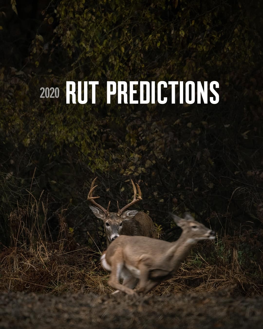 2020 Rut Predictions | Onx Maps-Peak Rut Predictions For 2021