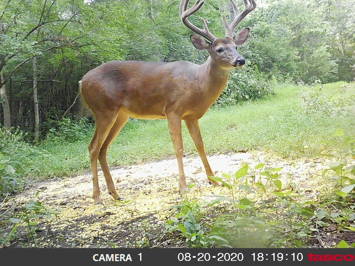 2021 Ky Archery Pre Rut - Main Lodge-2021 Ky Rut Dates