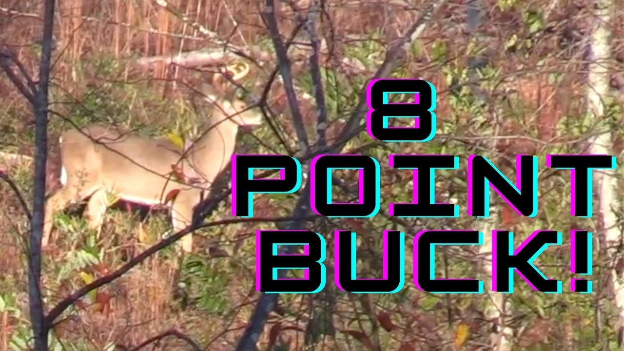 8 Point Buck!! | Nc Deer Season 2020-2021-White Tail Deer Rutt Nc 2021