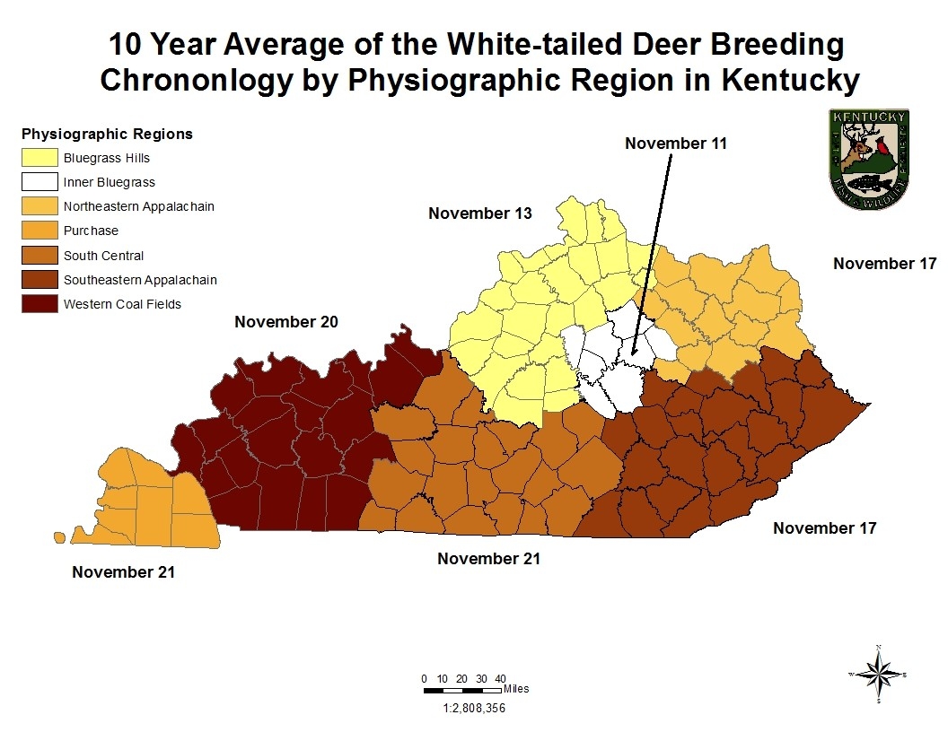 Art Lander'S Outdoors: White-Tailed Deer Rut Full Of Emotion-2021 Ky Rut Dates