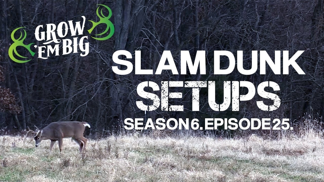 Create A Slam Dunk Setup-2021-2021 Whitetail Deer Hunting Predictions