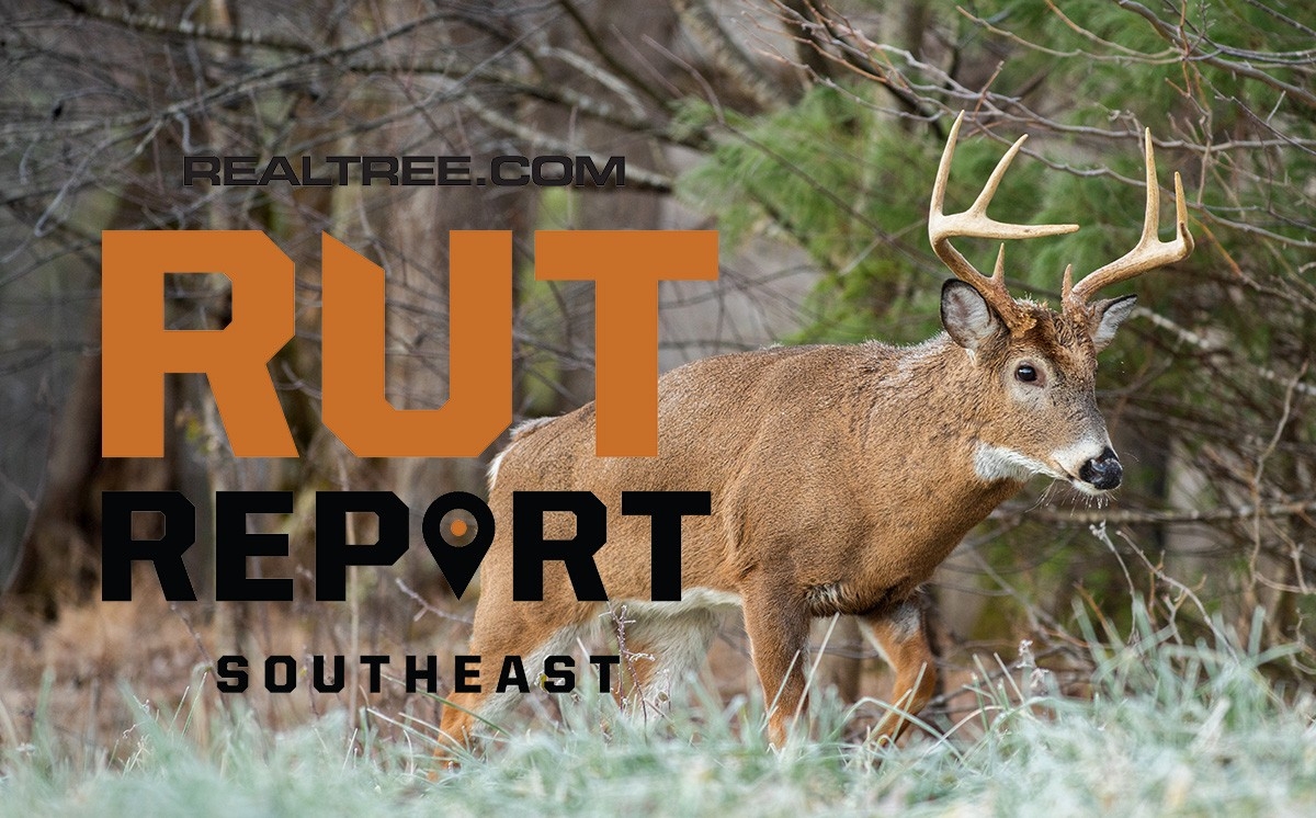 Dec. 4 Southeast Rut Report, 2020-Louisiana Deer Rut Calendar