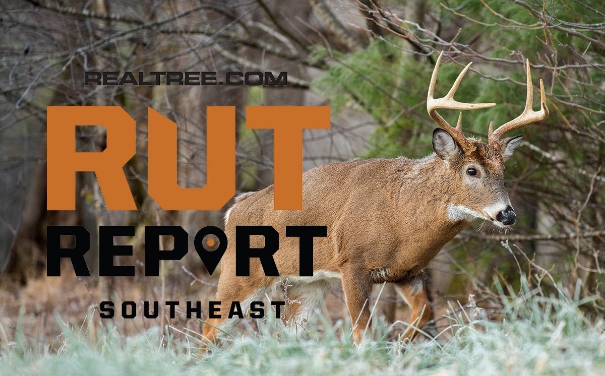 Dec. 4 Southeast Rut Report, 2020-Louisiana Rut Calender For 2021