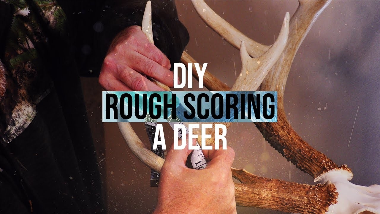 Diy: Rough Score Your Buck-Louisiana Deer Rut 2021-2021