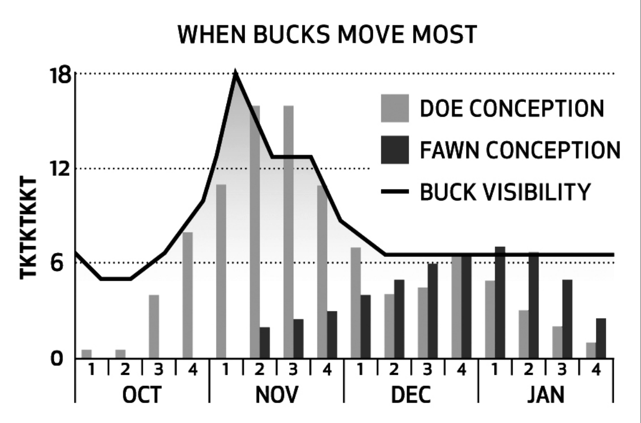 From Ground To Gun: Understanding The “Peak” Of The Rut-2021 Ky Rut Dates