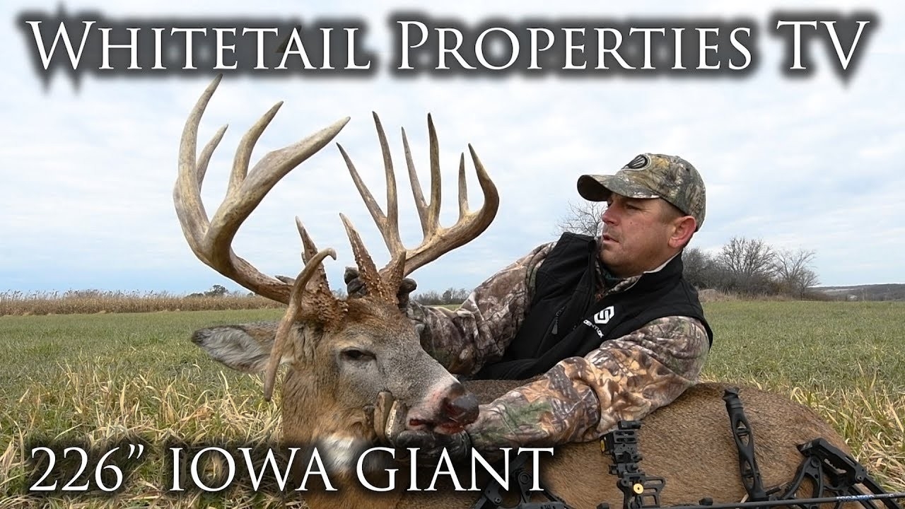 Giant Iowa Buck!! | Rut Hunting Action | November Bowhunting-2021 Iowa Whitetail Rut