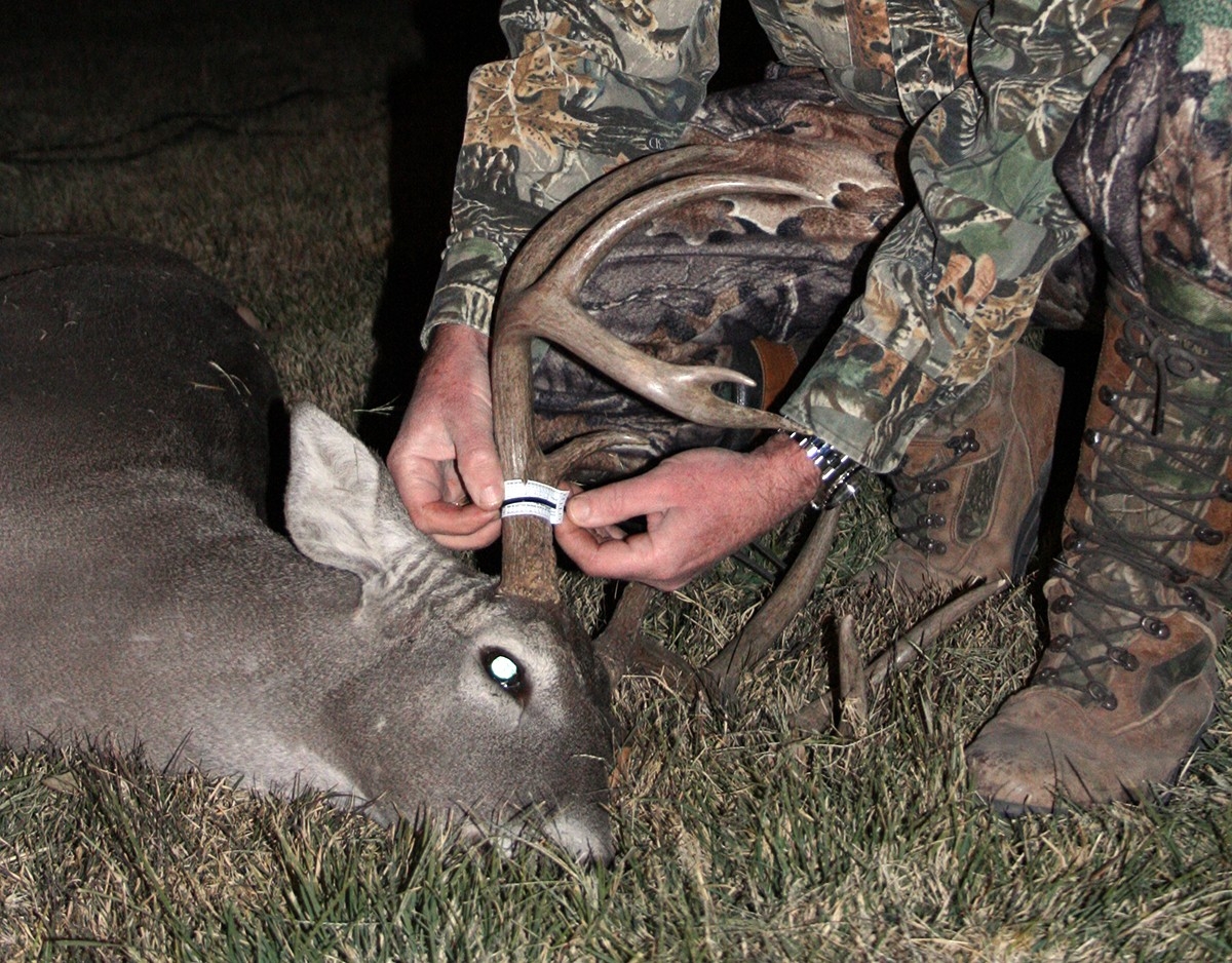 How And Why To Deer Hunt All Day During Texas Rut-Texas Deer Hunting Rut