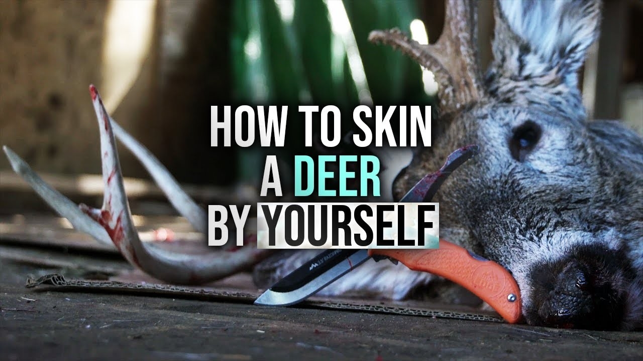 How To Skin A Deer By Yourself-Louisiana Deer Rut 2021-2021