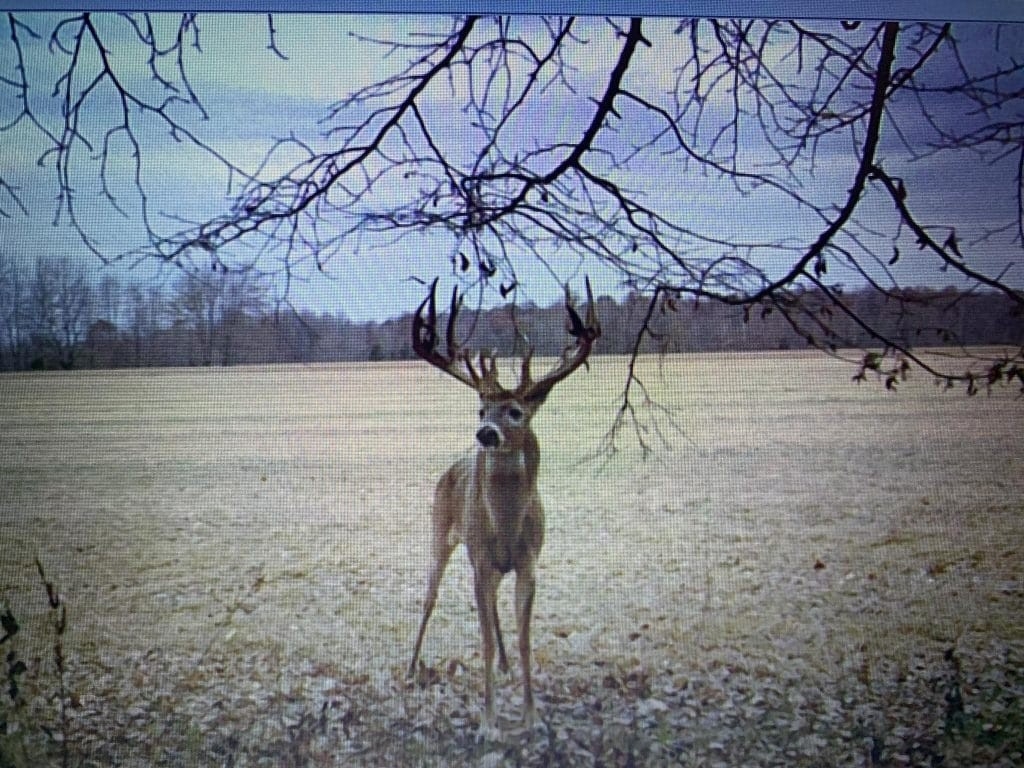 Indiana Hunting Outfitters | Whitetail Hunting Trips-Indiana 2021 Deer Rut