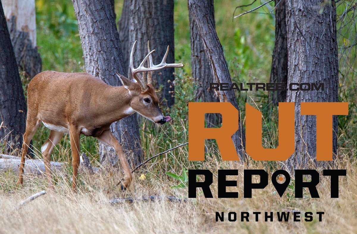 Nov. 12 Northwest Rut Report, 2020-Peak Rut Predictions For 2021