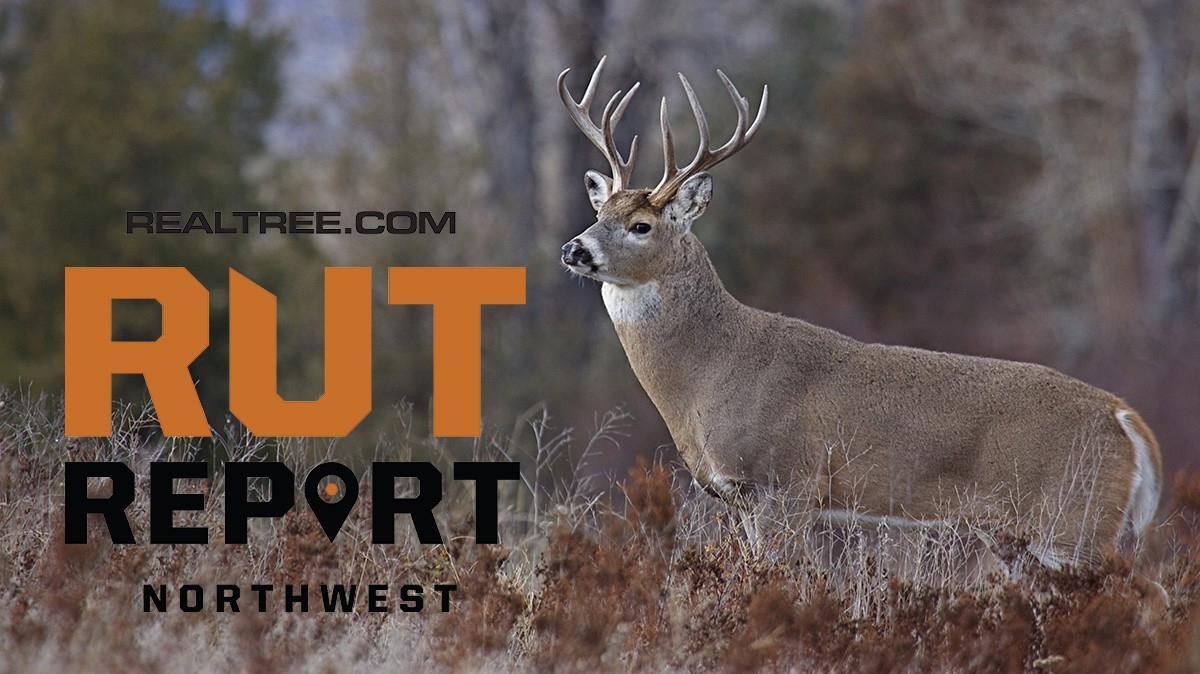 Nov. 6 Northwest Rut Report: 2020-Deer Rut Forecast 2021
