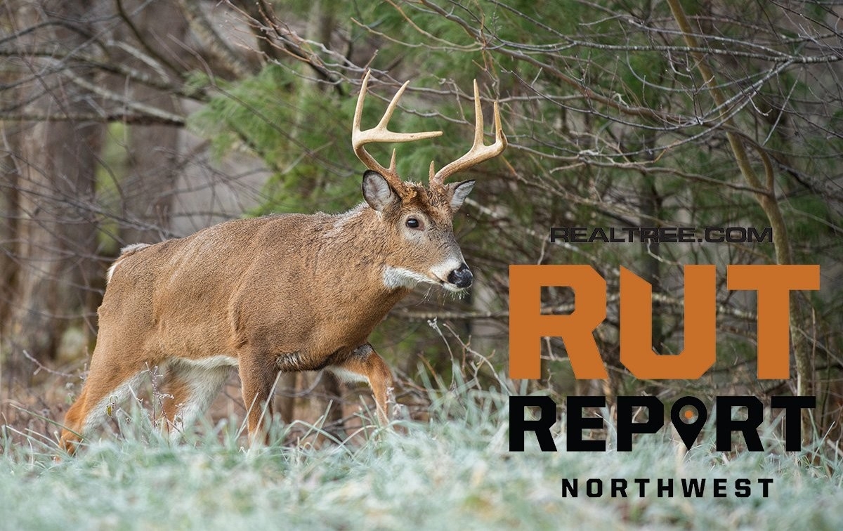 Oct. 30 Northwest Rut Report, 2020-Deer Rut Forecast 2021