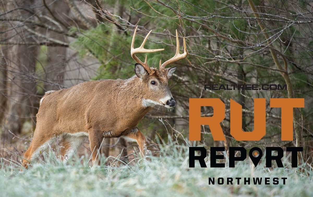 Oct. 30 Northwest Rut Report, 2020-Wny 2021 Whitetail Rutt
