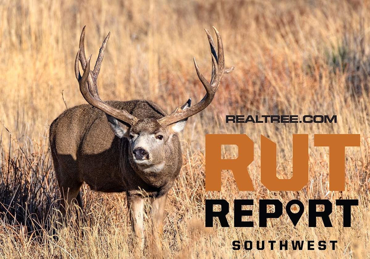 Oct. 30 Southwest Rut Report, 2020-Deer Rut Forecast 2021
