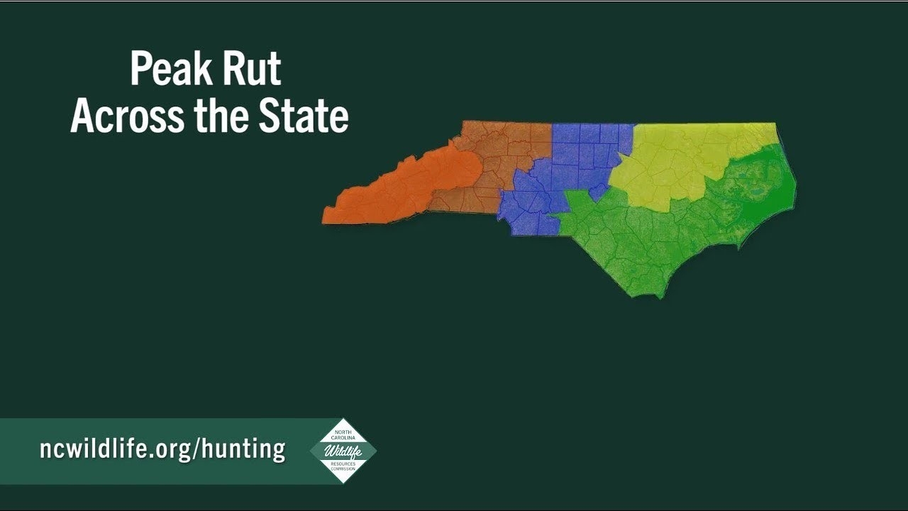 Peak Of The Rut Across North Carolina-When Is The Rut In North Carolina 2021